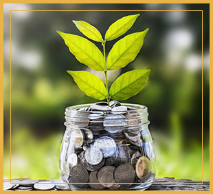 Plant inside a jar filled with coins